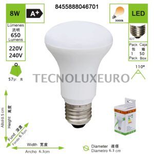 LED R80/ R65